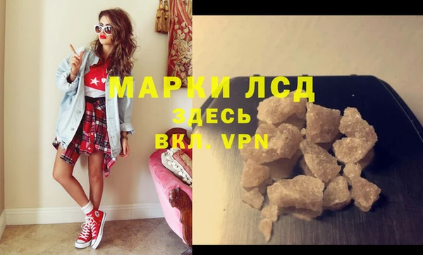 спиды Аркадак